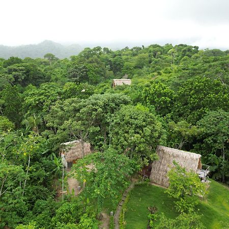 Tiny Houses Unique Tayrona - Dentro Del Parque Tayrona El Zaino Esterno foto