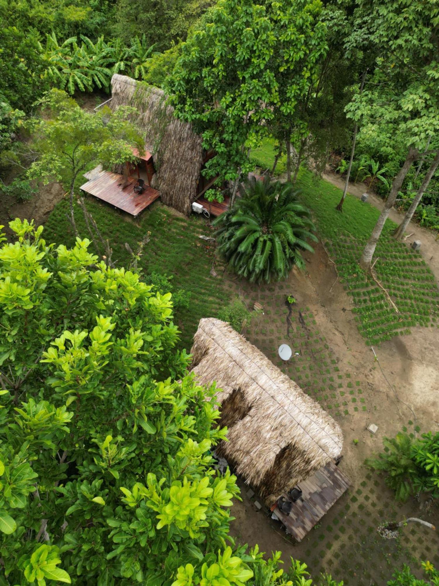 Tiny Houses Unique Tayrona - Dentro Del Parque Tayrona El Zaino Esterno foto