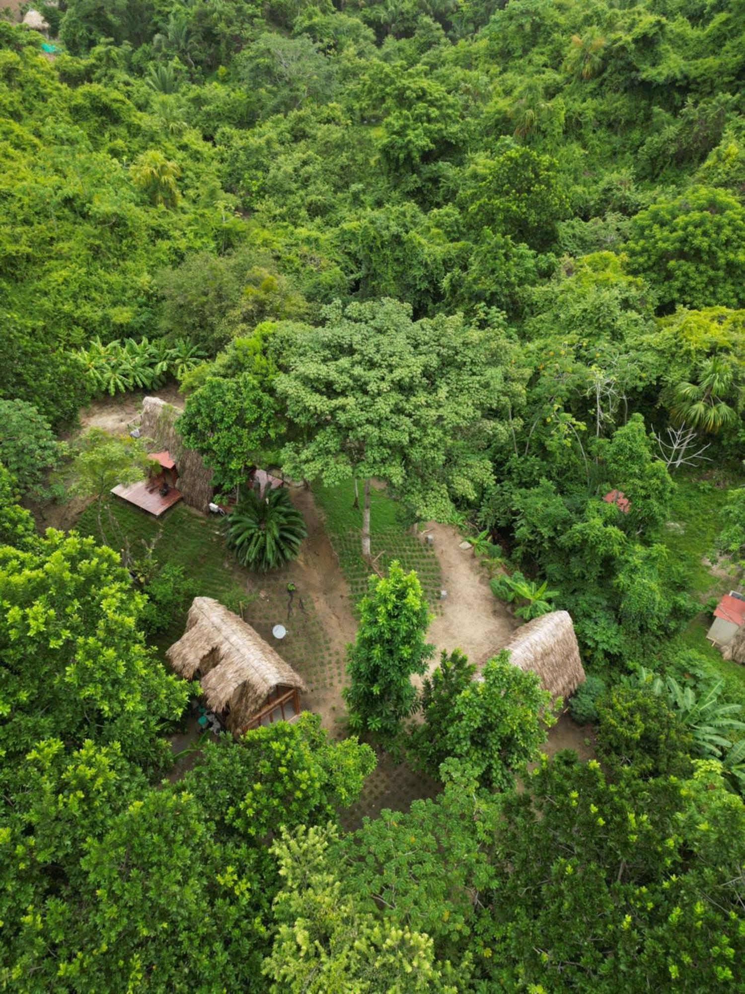 Tiny Houses Unique Tayrona - Dentro Del Parque Tayrona El Zaino Esterno foto