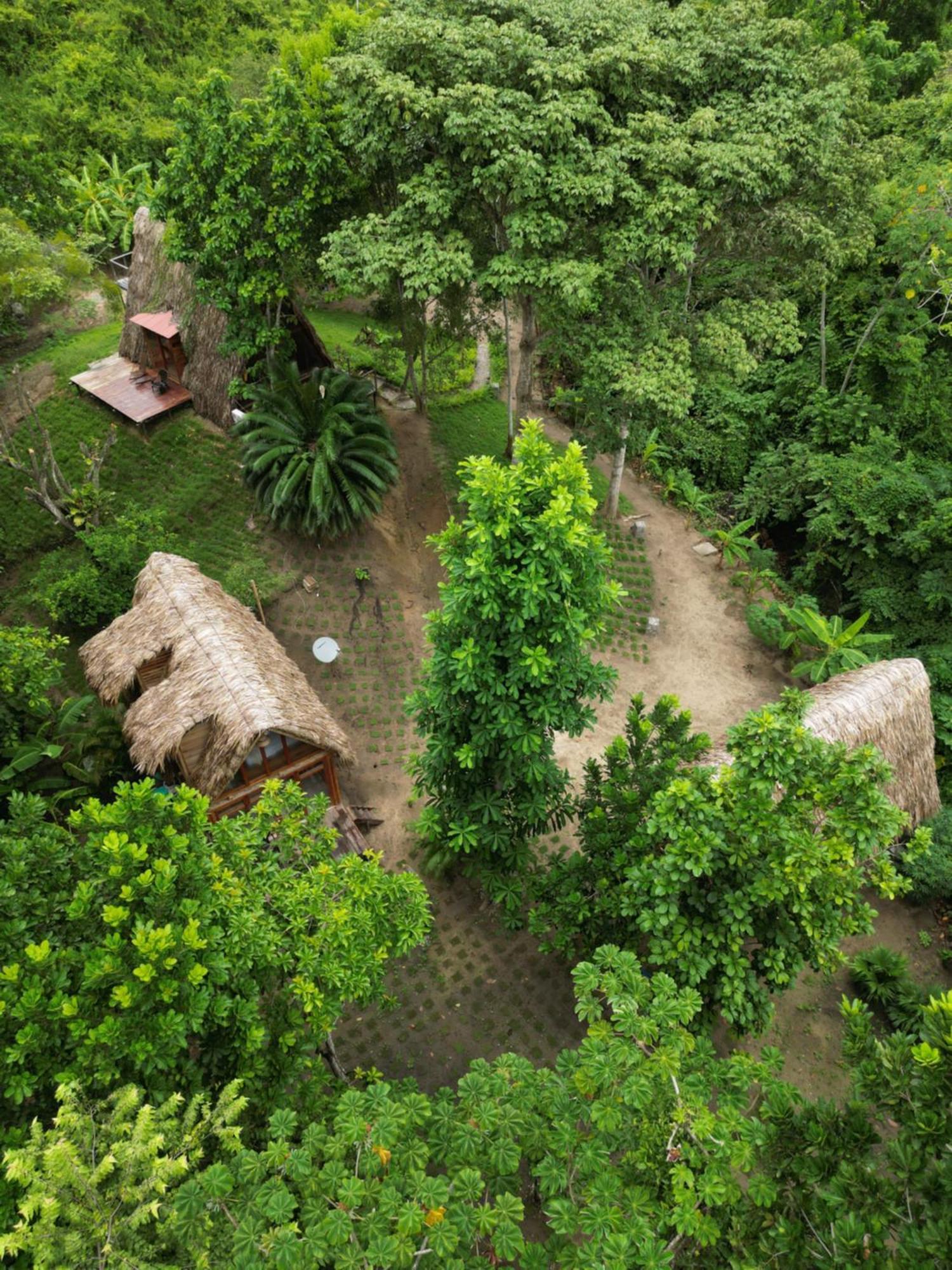 Tiny Houses Unique Tayrona - Dentro Del Parque Tayrona El Zaino Esterno foto