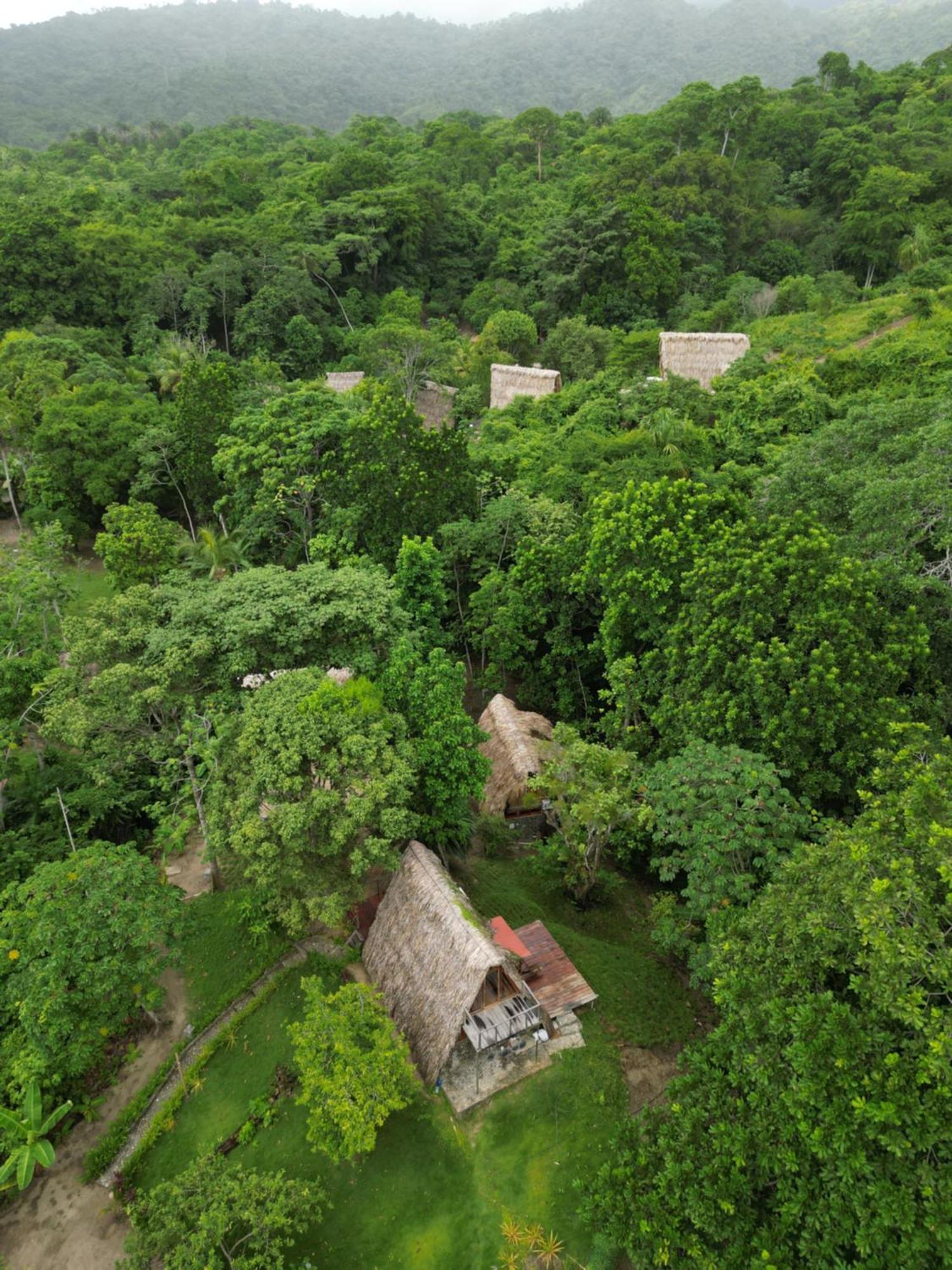 Tiny Houses Unique Tayrona - Dentro Del Parque Tayrona El Zaino Esterno foto