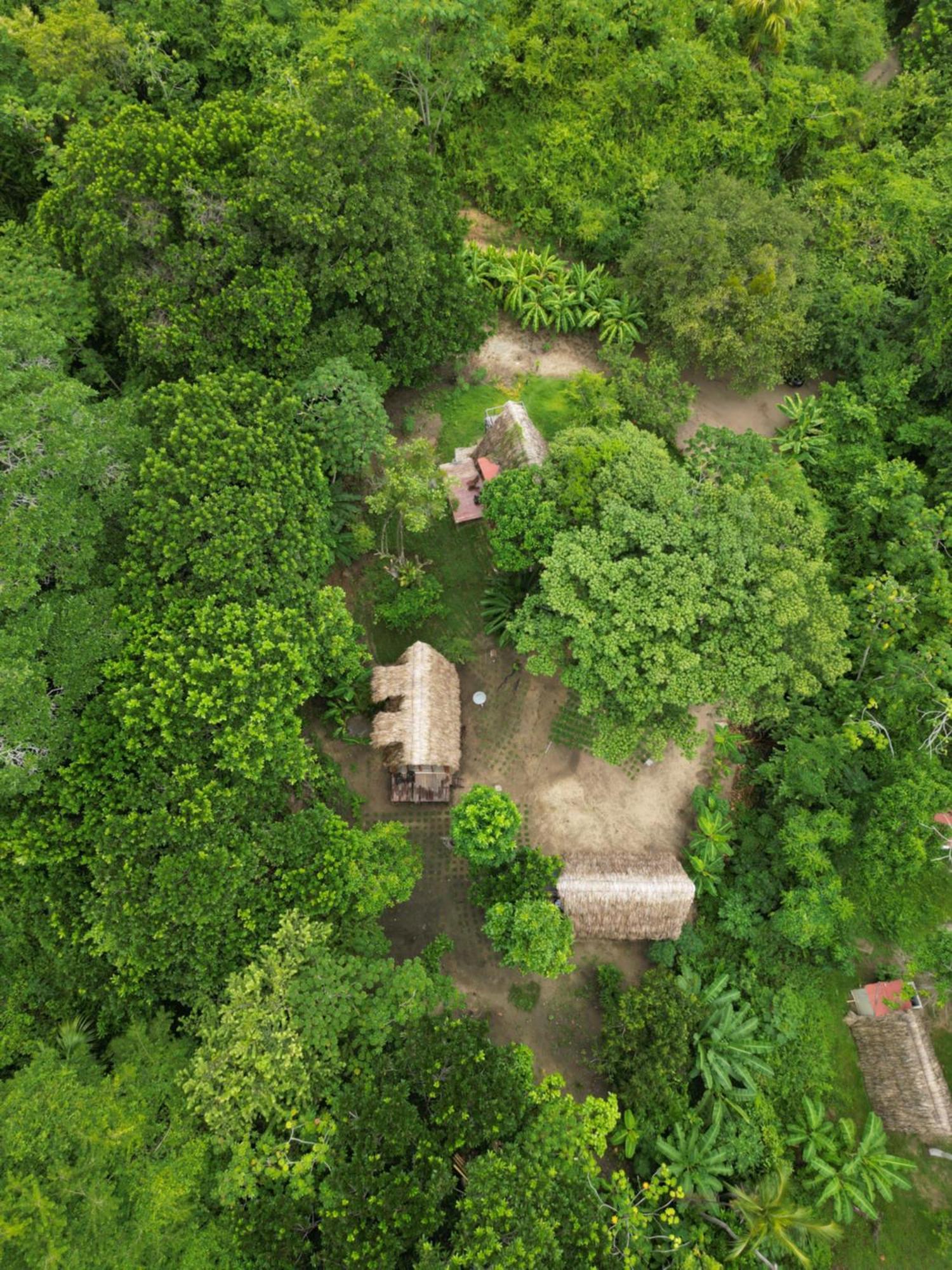 Tiny Houses Unique Tayrona - Dentro Del Parque Tayrona El Zaino Esterno foto