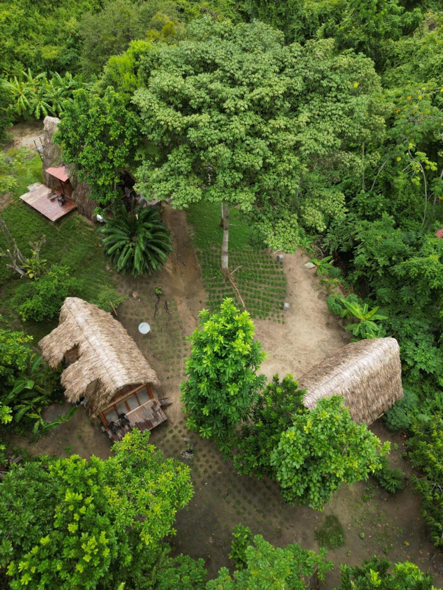 Tiny Houses Unique Tayrona - Dentro Del Parque Tayrona El Zaino Esterno foto