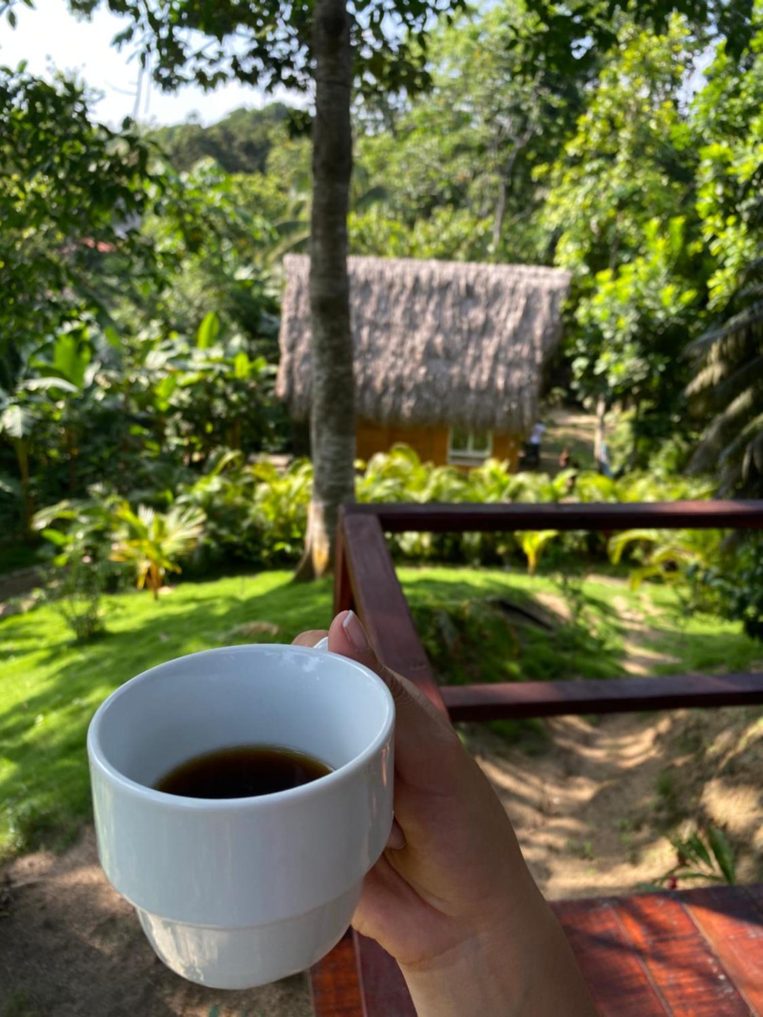 Tiny Houses Unique Tayrona - Dentro Del Parque Tayrona El Zaino Esterno foto