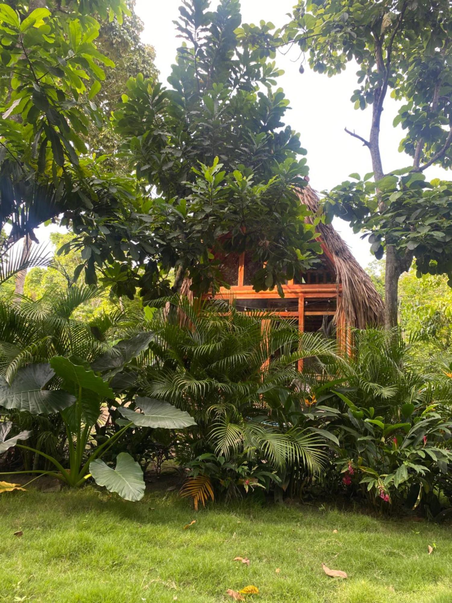 Tiny Houses Unique Tayrona - Dentro Del Parque Tayrona El Zaino Esterno foto
